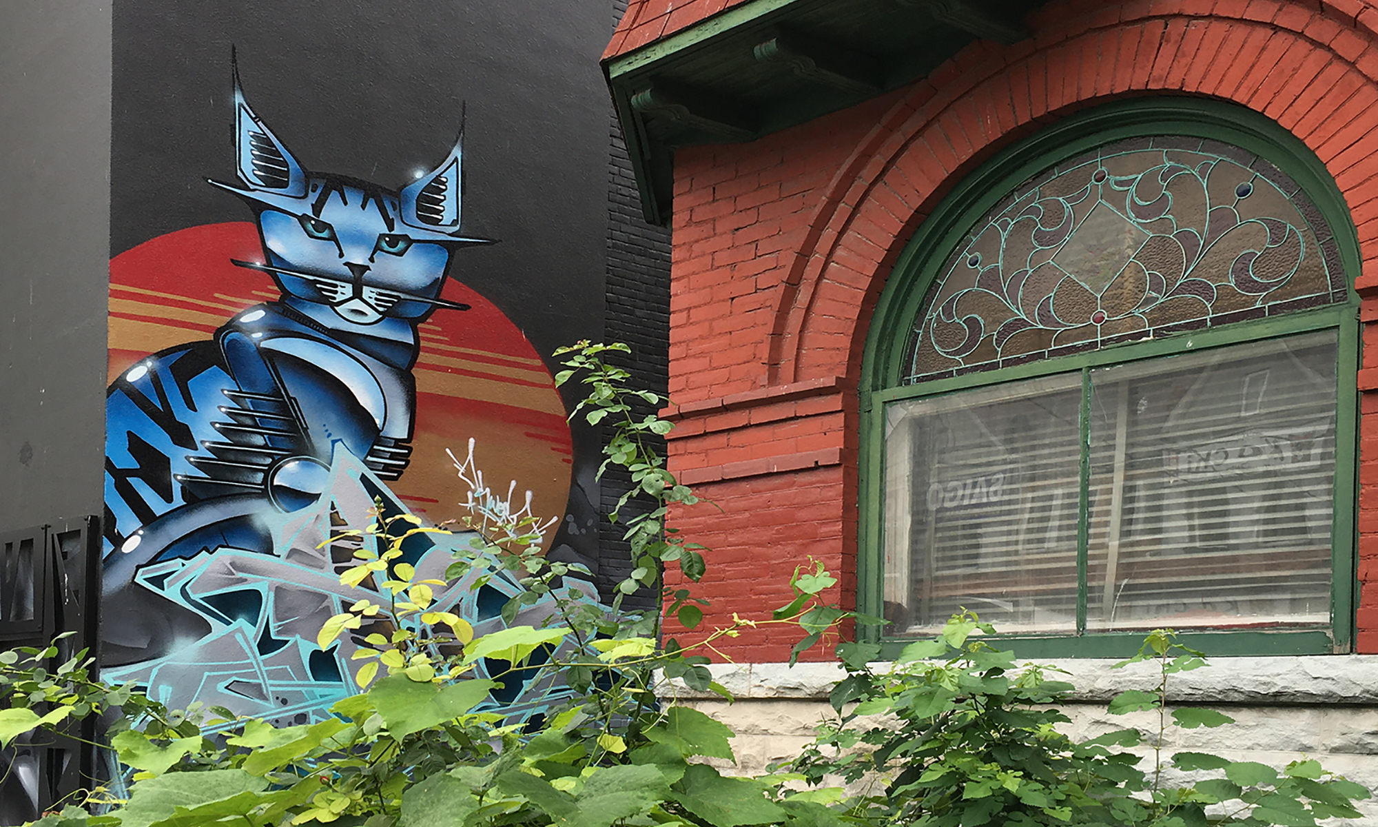 Kensington Market old & new, with cat graffitti art